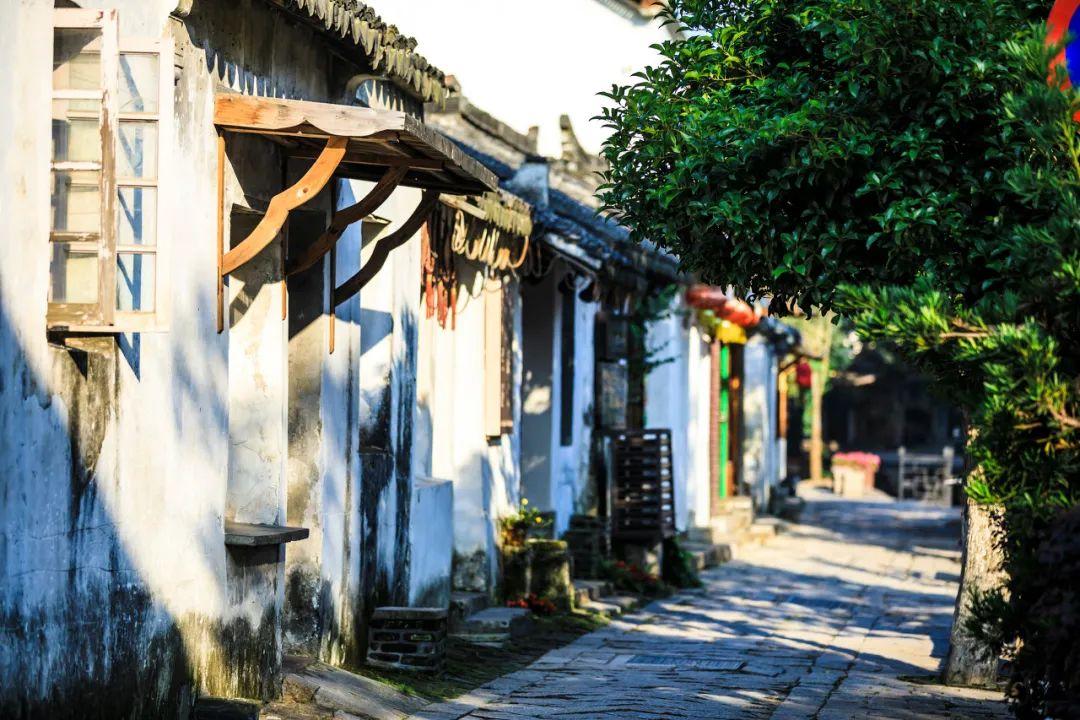 探讨交流,畅谈心声——绿皮蛋和白皮蛋的区别问答平台